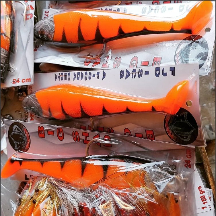 laranja tigre 24cm