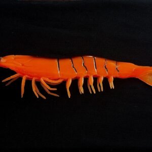 laranja tigre sem peso