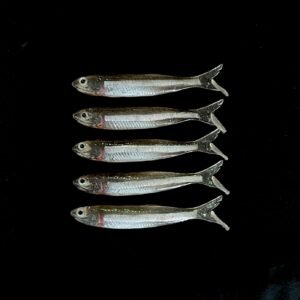 kit 5 manjubas