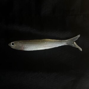 manjuba 11cm