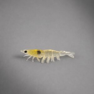 fantasma 9,5 cm