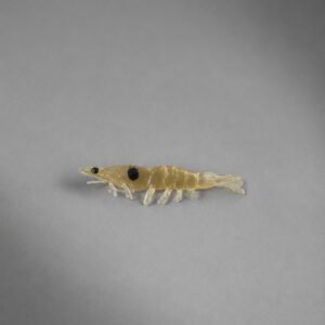 marisqueiro 9,5 cm