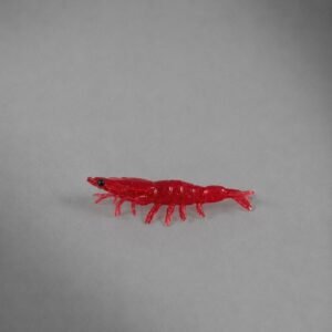 tricolor 9,5 cm